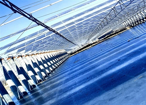 Tianjin Lizigu 171,6 MW Fishery{1}Sollar PV Project